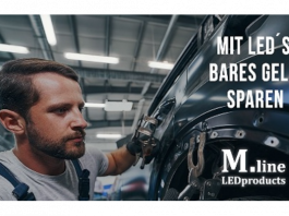 Geld Sparen mit LED´s