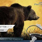 Steuerkettensatz von Partstec mit Bären im Vordergrund und Mondlicht