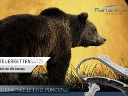 Neue Steuerkettensätze als „All-in-One-Kits“ von PartsTec Steuerkettensatz von Partstec mit Bären im Vordergrund und Mondlicht