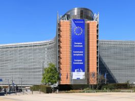 Neuzulassungen von Verbrennern auch nach 2025 erlaubt