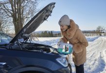 Green Forest: Weihnachtsgeschenk für Autofahrer*innen